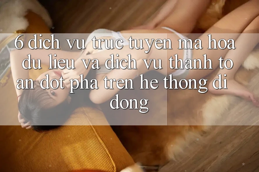 6. Dịch vụ trực tuyến Mã hóa dữ liệu Và Dịch Vụ Thanh Toán Đột Phá Trên Hệ thống di động