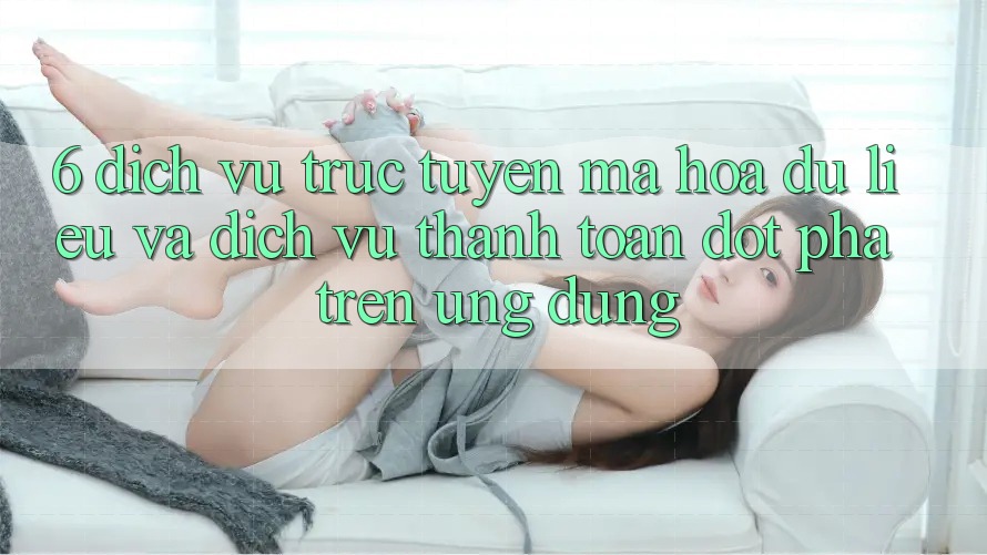 6. Dịch vụ trực tuyến Mã hóa dữ liệu Và Dịch Vụ Thanh Toán Đột Phá Trên Ứng dụng