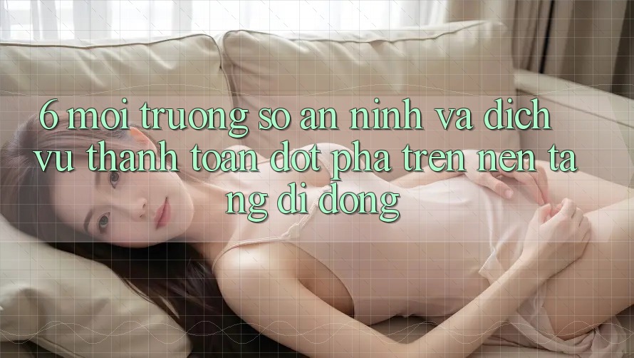 6. Môi trường số An ninh Và Dịch Vụ Thanh toán Đột Phá Trên Nền tảng di động