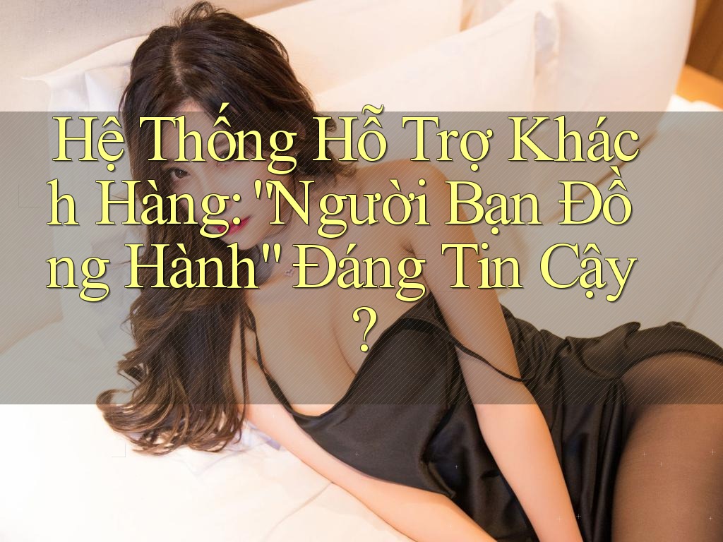 Hệ Thống Hỗ Trợ Khách Hàng: “Người Bạn Đồng Hành” Đáng Tin Cậy?