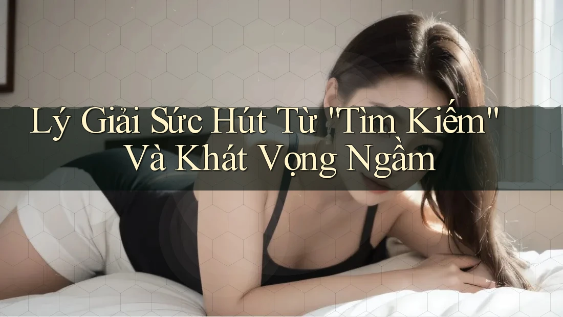 Lý Giải Sức Hút Từ “Tìm Kiếm” Và Khát Vọng Ngầm