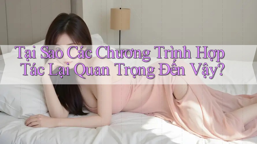 Tại Sao Các Chương Trình Hợp Tác Lại Quan Trọng Đến Vậy?